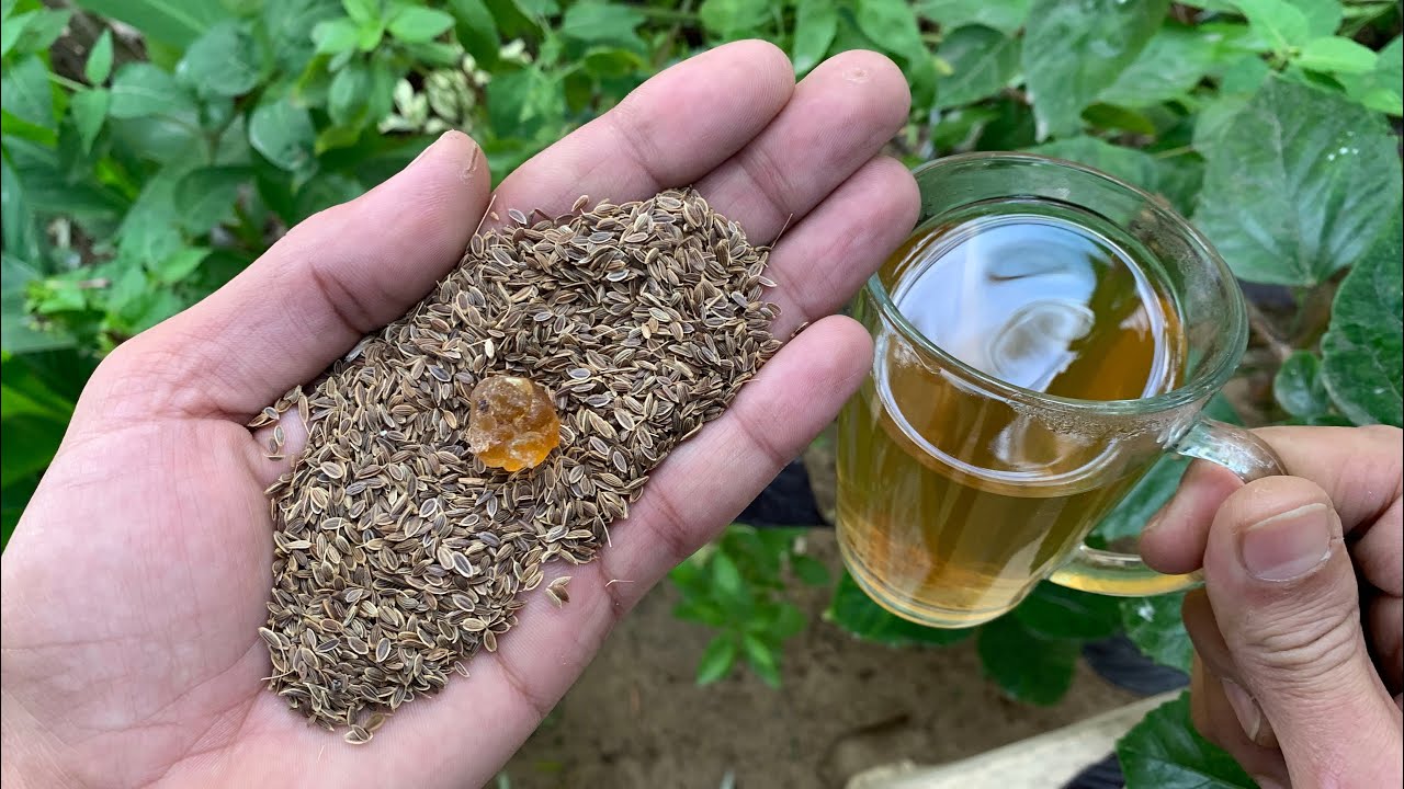 علاج نهائي يخلصك من السعال الحاد والجاف الكحة البلغم الرشح من أول استعمال فقط تناول مغلي هذه البذور