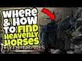 WHERE & HOW To Find HEAVENLY HORSES!: Myth of Empires Survival RPG