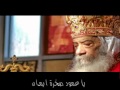    طير البراري للبابا شنوده فريق ايد واحده