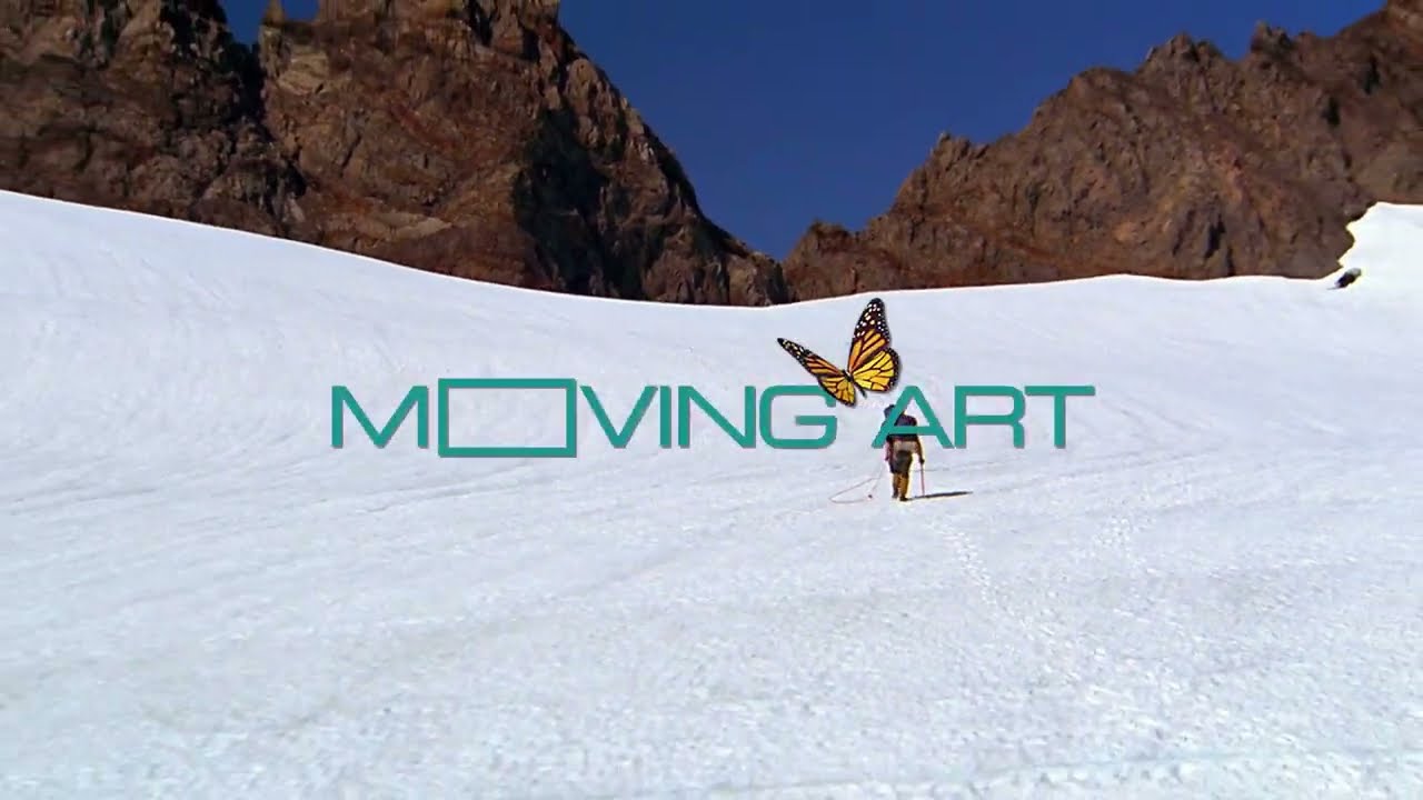 Resonate with the Rhythms and Patterns of Nature | Subscribe To Moving Art | Louie Schwartzberg