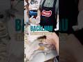 Bacalhau de Cabo a Rabo | PARTE 1. Como comprar, preparar e reinventar receitas com esta delícia.