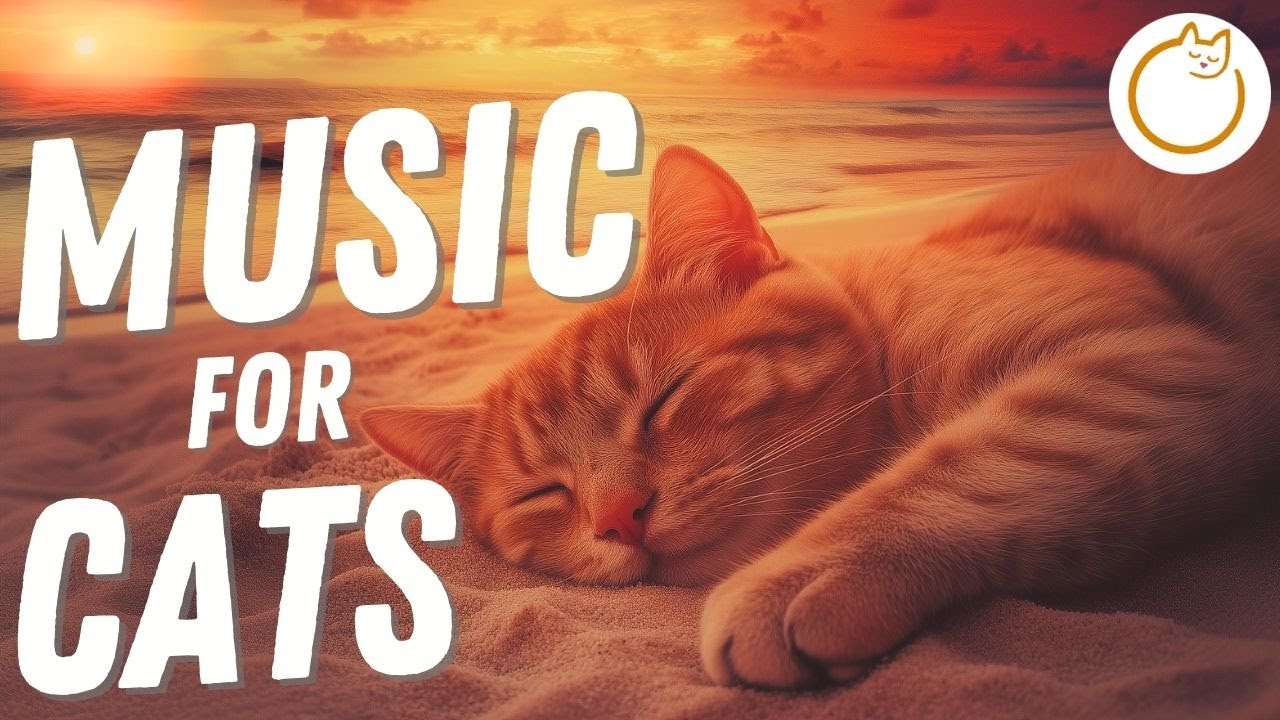 Instantly Calming Music for Anxiety in Cats - TRIED & TESTED 🐱💤 - YouTube - Anxious Cat Music Playlist