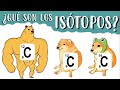 🤔 Qué son los ISÓTOPOS, Tipos y Ejemplos