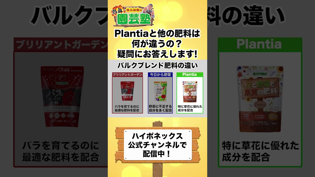 Gardening Basics] We will answer your questions about Plantia