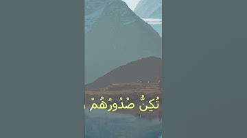 سورة القصص - عمر بن عبدالعزيز