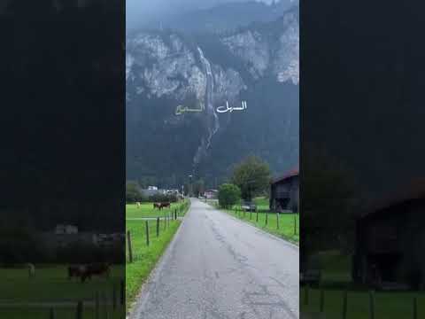 الرسول صلى الله عليه وسلم ماذا قال عن التسامح