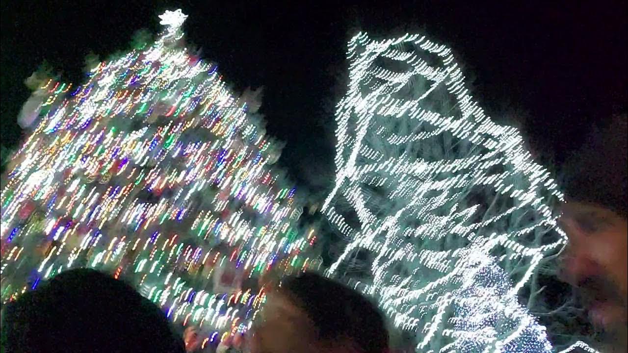 11202021 Big Bear Tree lighting YouTube