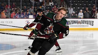 The Coyotes Are Moving To Utah?