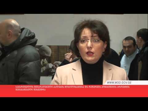 დისკუსია მობილიზაციისა და რეზერვის კონცეფციის პროექტზე