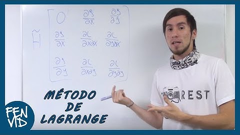 Optimización con restricciones l FENVid