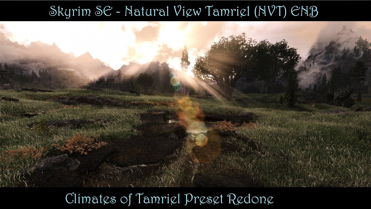 Natural View (NVT) ENB at Skyrim Special Edition Nexus - Mods and