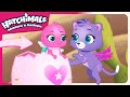 Could this be the Number One Hatch?! | Hatchimals Adventure in Hatchtopia | Cartoon for Kids