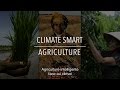 FAO Collection Politiques: Agriculture intelligente face au climat (avec sous-titres)