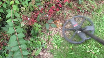 My Minelab Settings Vs Neil Jones Settings