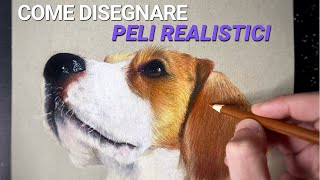 Come disegnare UN CANE REALISTICO | Incredibile TUTORIAL screenshot 1