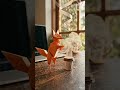 Morning Coffee with a Paper Friend 🦊☕ #origami|  Paper Art Stop-motion by WOOHA