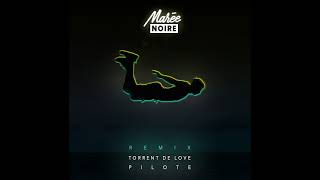Torrent De Love (Pilote Remix)