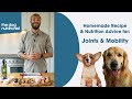 Joint  mobility support  homemade dog food recipe by the dog nutritionist