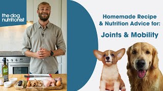 Joint & Mobility Support  Homemade Dog Food Recipe by The Dog Nutritionist