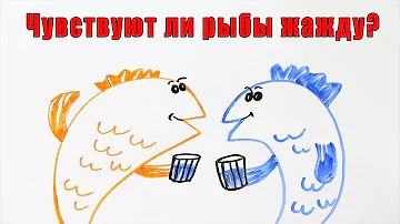 Чувствуют ли рыбы жажду?