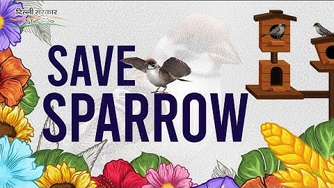 Save Sparrow Save Enviroment | Delhi Govt. School | RSBV SMV Eco Club | Delhi Model .....
