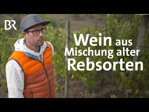 Video: Was ist ein Satz für gezackt?