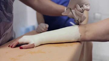 Che differenza c'è tra un Carcinoma e un tumore?