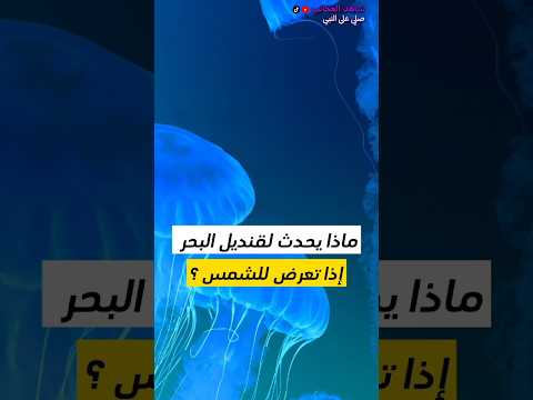 فيديو: هل cnidarian قنديل البحر؟