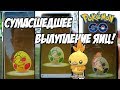 [Pokemon GO] Сумасшедшее везение в яичный ивент! Новости про День сообщества в мае