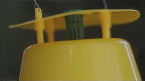 Pherobio Bucket Pheromone Trap Assembly