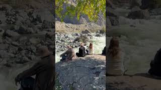 Йога-тур на Алтай. Телецкое озеро
