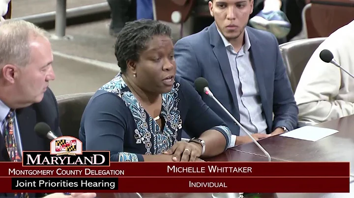 Michelle Whittaker on Ranked Choice Voting for Mon...