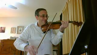 Violin Sonatina No. 1 in D-Major, first movement (Schubert)