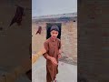 Zeeshan bhai   kite #kite #fighterkite