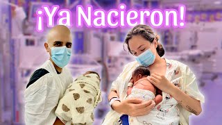 Thumbnail for YA NACIERON NUESTROS BEBÉS Cap. 40