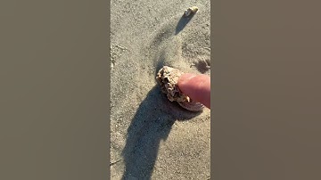 I found Nature