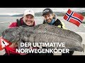 DER „Natur-Kunstköder“ für STEINBEISSER, Heilbutt & DORSCH - Norwegen-Angeln mit Rainer Korn 🇳🇴