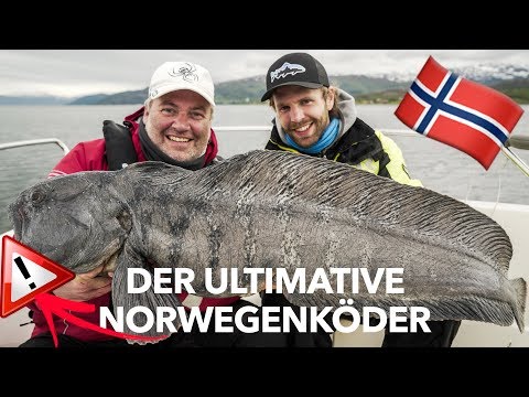 Video: So Erhalten Sie Die Norwegische Staatsbürgerschaft