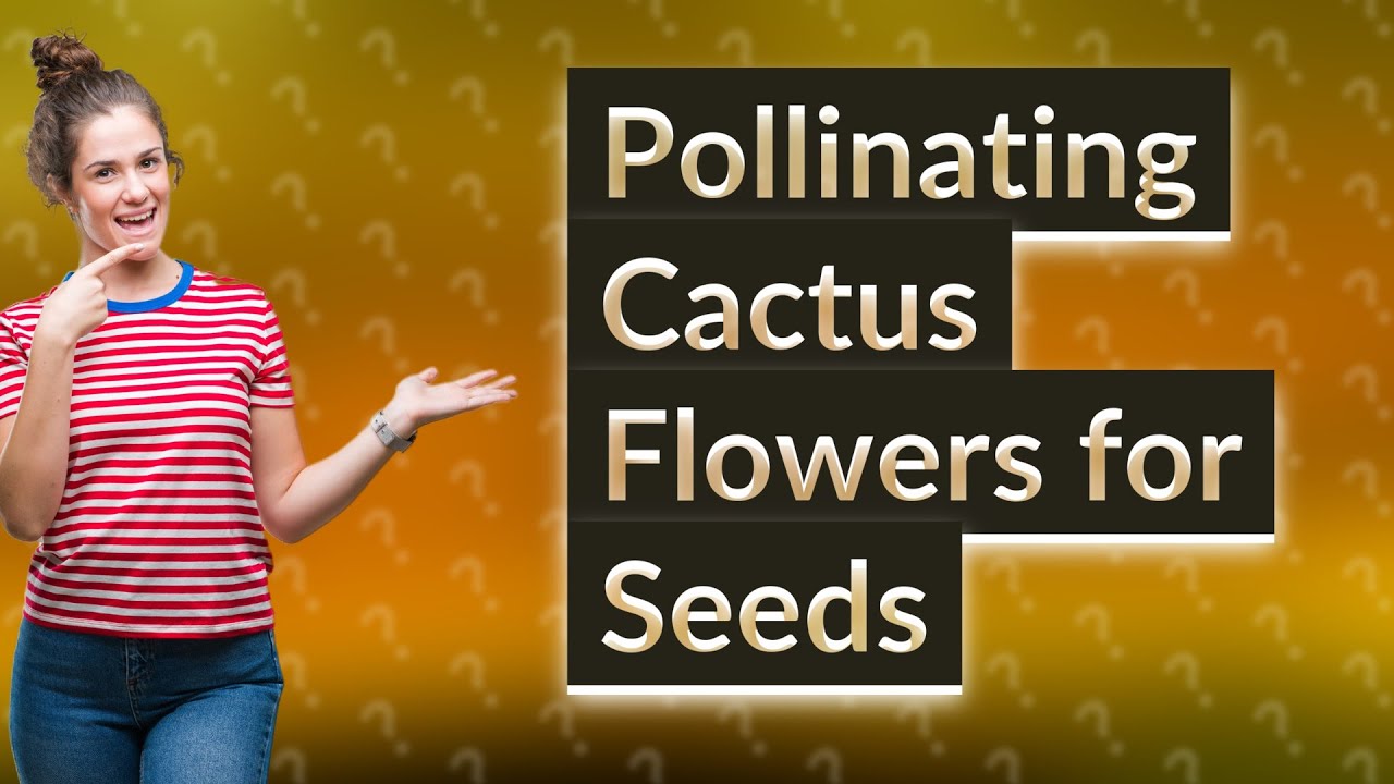 How Can I Successfully Pollinate My Cactus Flower to Produce Seeds