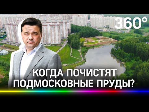 «100 водоемов за три года»: новая программа по очистке водоемов стартует 22 июля