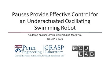 Pauses Provide Effective Control for an Underactuated Oscillating Swimming Robot (RA-L 2020)