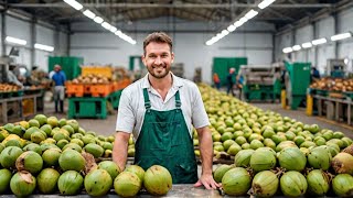 How Thailand Farmer 700 Milion Tone Coconut Harvest & Process In Factory