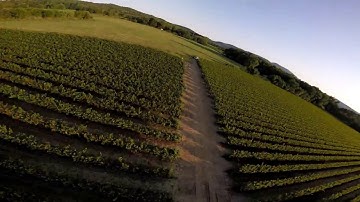 MASTER X5 . Testing betaflight 3.5.0 rc2 stock PID