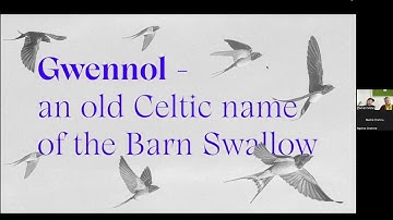 Font Fashion Week: Gwen; Between the Intricacies of Display & Formality of Text