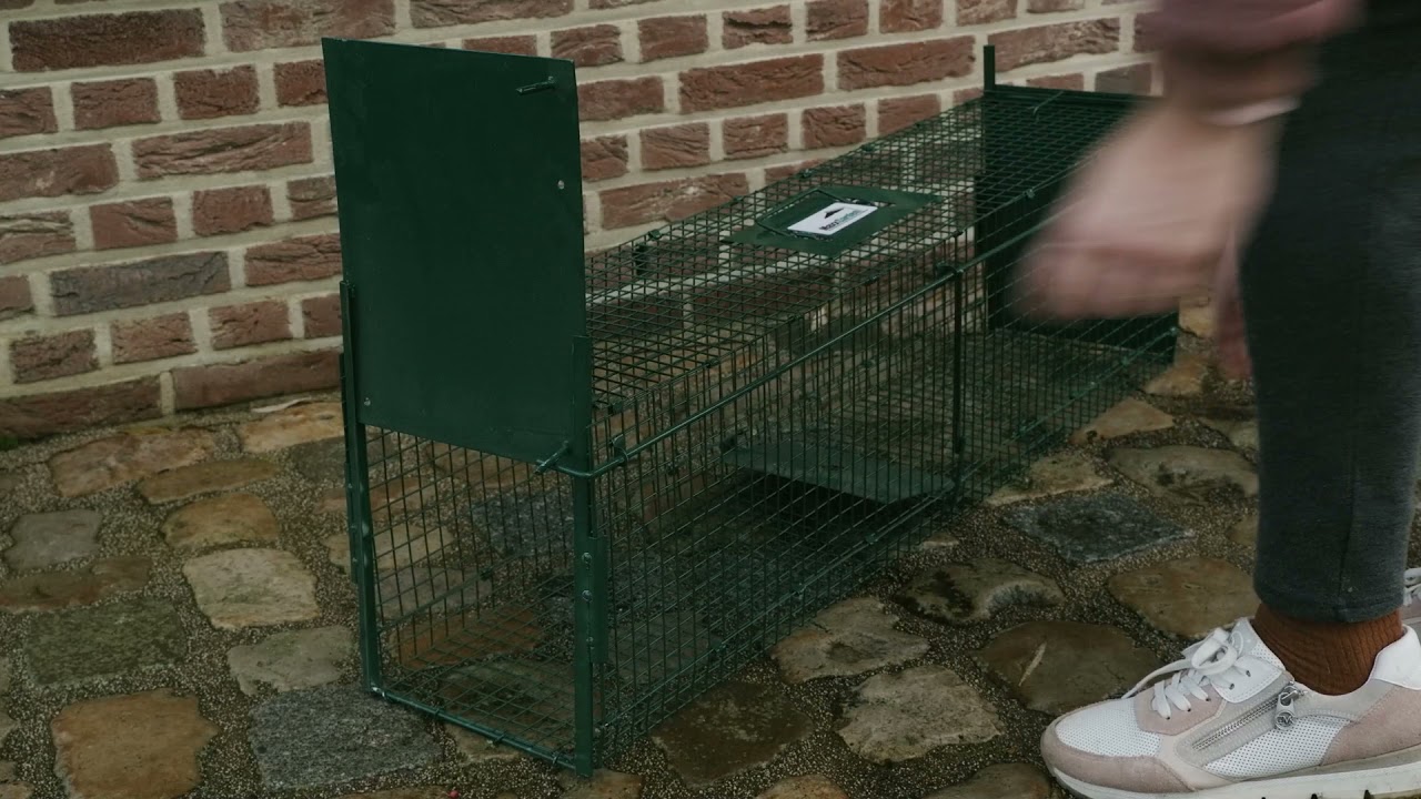 MaxxGarden Piege A Rat - Cage Rat Professionnel - Trappe Capture - Piège à  Souris - Appat Souris avec Une Seule Entrée - Pliable - 78x25x30 cm - Vert