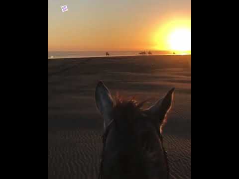 لم تسألني من قبل رحيلك ياعمري مقاطع دعوية اناشيد