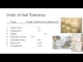 Salting techniques for cheesemaking by peter dixon
