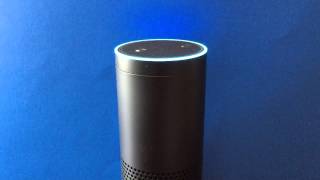 Amazon Echo: Wikipedia search