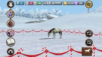 my horse gameplay part 21