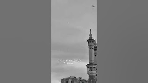قرآن راحة نفسية🌼| ستوريات قران كريم | قرآن حلات واتس اب 🌺| ستوري أنستغرام قران | قرآن مقاطع قصيرة 🥀|